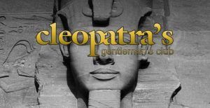 Cleopatra Gentlemens Club