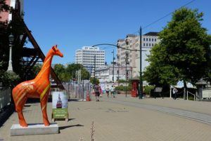 swingers guide to christchurch new zealand sex