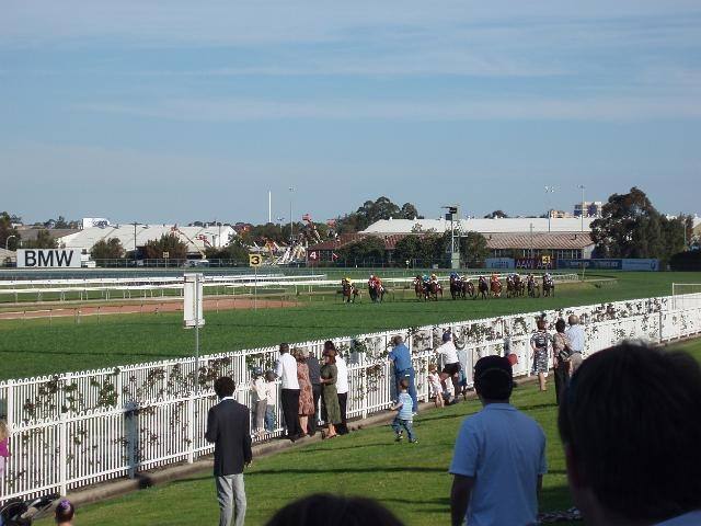 sydney bucks party guide horse racing