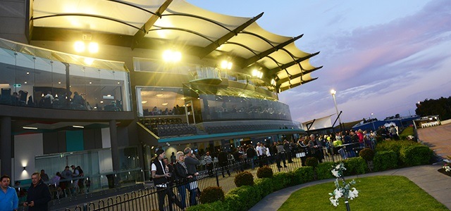the ultimate melbourne bucks party guide ideas greyhound racing